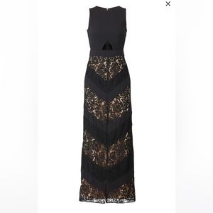 Fame and Partners The Spring Dress, Blake Lace Gown